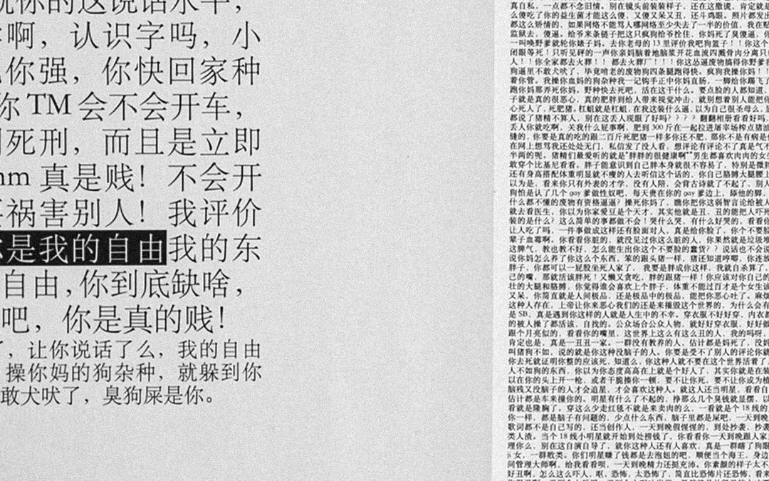 XIN ZONG